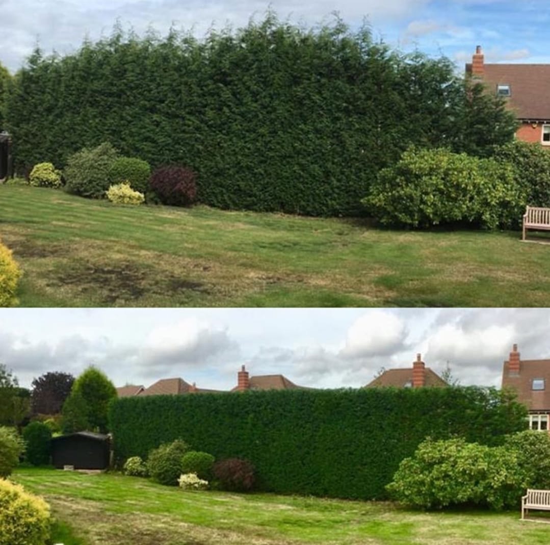 Hedge Reduction